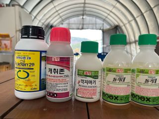 이선민(호뜨락)님의 포도 · 영농일지 작성글 사진