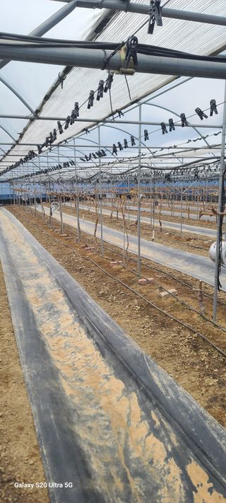 자연자유님의 기타작물 · 영농일지 작성글 사진