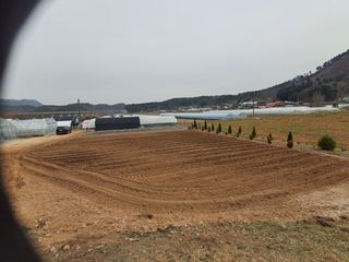 용기님의 기타작물 · 영농일지 작성글 사진