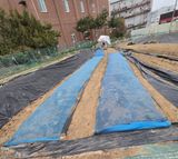 팜모닝 기타작물·영농일지 게시글 이미지