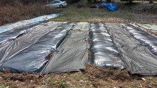 권순일님의 기타작물 · 영농일지 작성글 사진