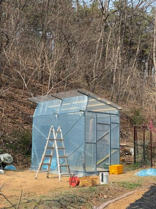 별@노래농장(정씨)님의 기타작물 · 영농일지 작성글 사진