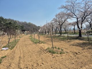 정장화님의 기타작물 · 영농일지 작성글 사진
