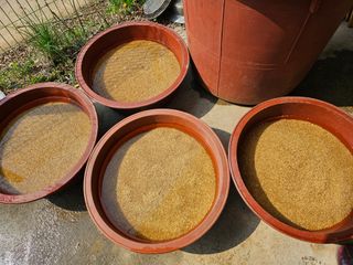 함영동님의 기타작물 · 영농일지 작성글 사진