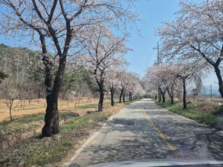 정장화님의 기타작물 · 영농일지 작성글 사진