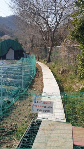 이경옥님의 기타작물 · 영농일지 작성글 사진