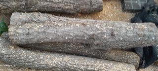 이형근님의 버섯 · 영농일지 작성글 사진