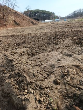 이상근 님의 기타작물 · 영농일지 작성글 사진