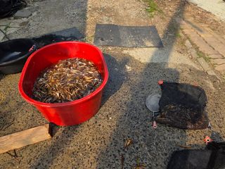 윤자용11대임후회장님의 기타작물 · 영농일지 작성글 사진