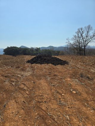 영춘아짐님의 기타작물 · 영농일지 작성글 사진