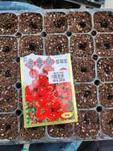 팜모닝 기타작물·영농일지 게시글 이미지