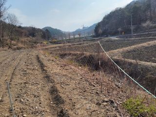 김홍중님의 두릅 · 영농일지 작성글 사진