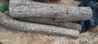 이형근님의 버섯 · 영농일지 작성글 사진