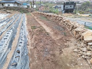 한정술님의 기타작물 · 영농일지 작성글 사진