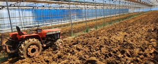 김영숙님의 기타작물 · 영농일지 작성글 사진