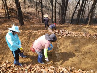 홍순길님의 기타작물 · 영농일지 작성글 사진
