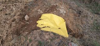 이복길님의 벼 · 영농일지 작성글 사진