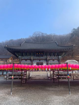 별@노래농장(정씨)님의 포도 · 영농일지 작성글 사진