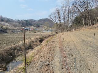 김홍중님의 두릅 · 영농일지 작성글 사진