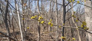 이형근님의 버섯 · 영농일지 작성글 사진