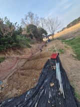 팜모닝 기타작물·영농일지 게시글 이미지