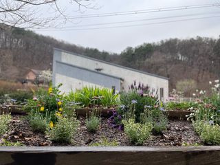 별@노래농장(정씨)님의 기타작물 · 영농일지 작성글 사진