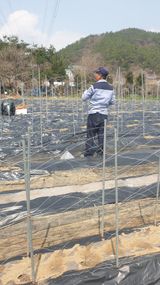 팜모닝 기타작물·영농일지 게시글 이미지