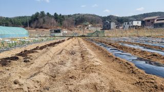 김윤회님의 기타작물 · 영농일지 작성글 사진