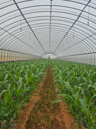 강선미님의 기타작물 · 영농일지 작성글 사진