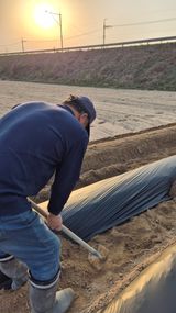 팜모닝 감자·영농일지 게시글 이미지