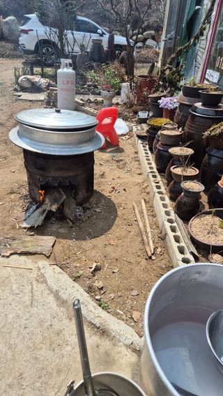 김기자(흰구름농원)님의 기타작물 · 영농일지 작성글 사진