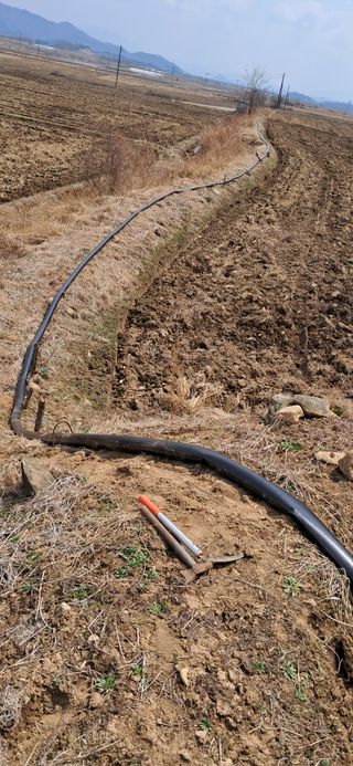 이복길님의 벼 · 영농일지 작성글 사진