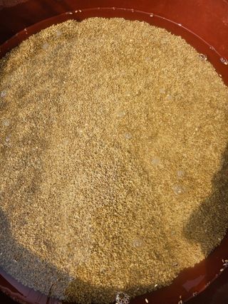 함영동님의 기타작물 · 영농일지 작성글 사진