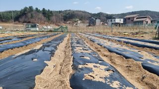 김윤회님의 기타작물 · 영농일지 작성글 사진