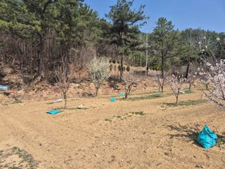 정장화님의 기타작물 · 영농일지 작성글 사진