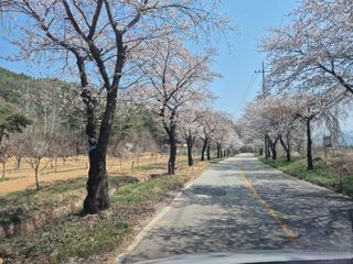 정장화님의 기타작물 · 영농일지 작성글 사진