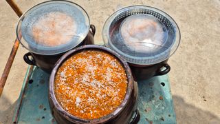 김기자(흰구름농원)님의 기타작물 · 영농일지 작성글 사진