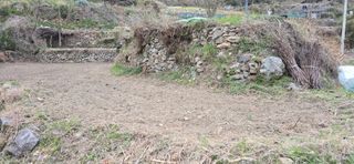 진전님의 기타작물 · 영농일지 작성글 사진