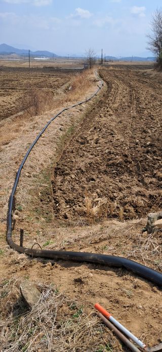 이복길님의 벼 · 영농일지 작성글 사진