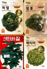 팜모닝 오이·영농일지 게시글 이미지