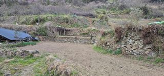 진전님의 기타작물 · 영농일지 작성글 사진