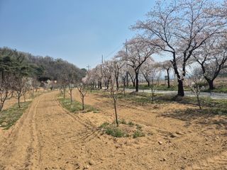 정장화님의 기타작물 · 영농일지 작성글 사진