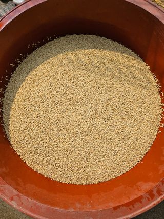 함영동님의 기타작물 · 영농일지 작성글 사진