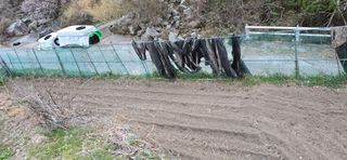 진전님의 기타작물 · 영농일지 작성글 사진