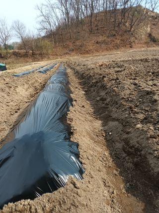 이상근 님의 기타작물 · 영농일지 작성글 사진