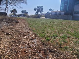 로만아빠님의 감자 · 영농일지 작성글 사진