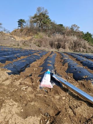 권용덕님의 기타작물 · 영농일지 작성글 사진