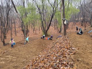 홍순길님의 기타작물 · 영농일지 작성글 사진
