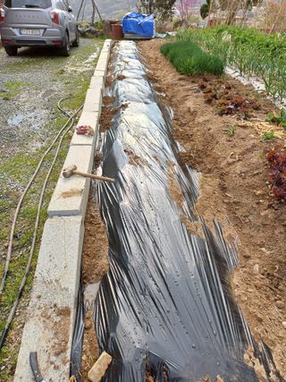 신 난다님의 기타작물 · 영농일지 작성글 사진