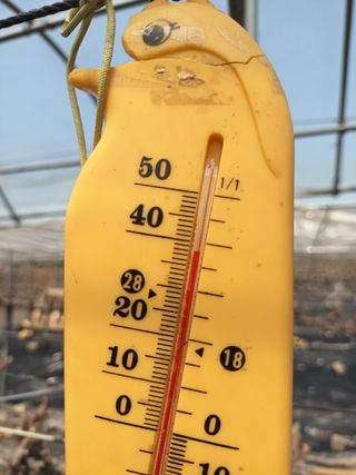 이영학 님의 포도 · 영농일지 작성글 사진